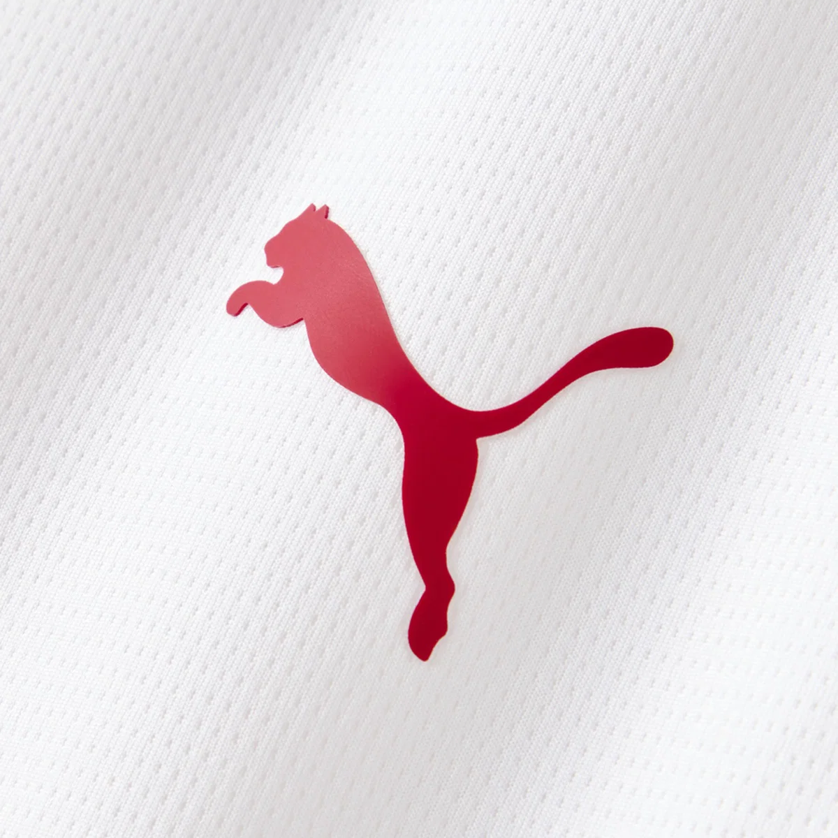 Away 26/27 Men’s Shirt - Brand Logo