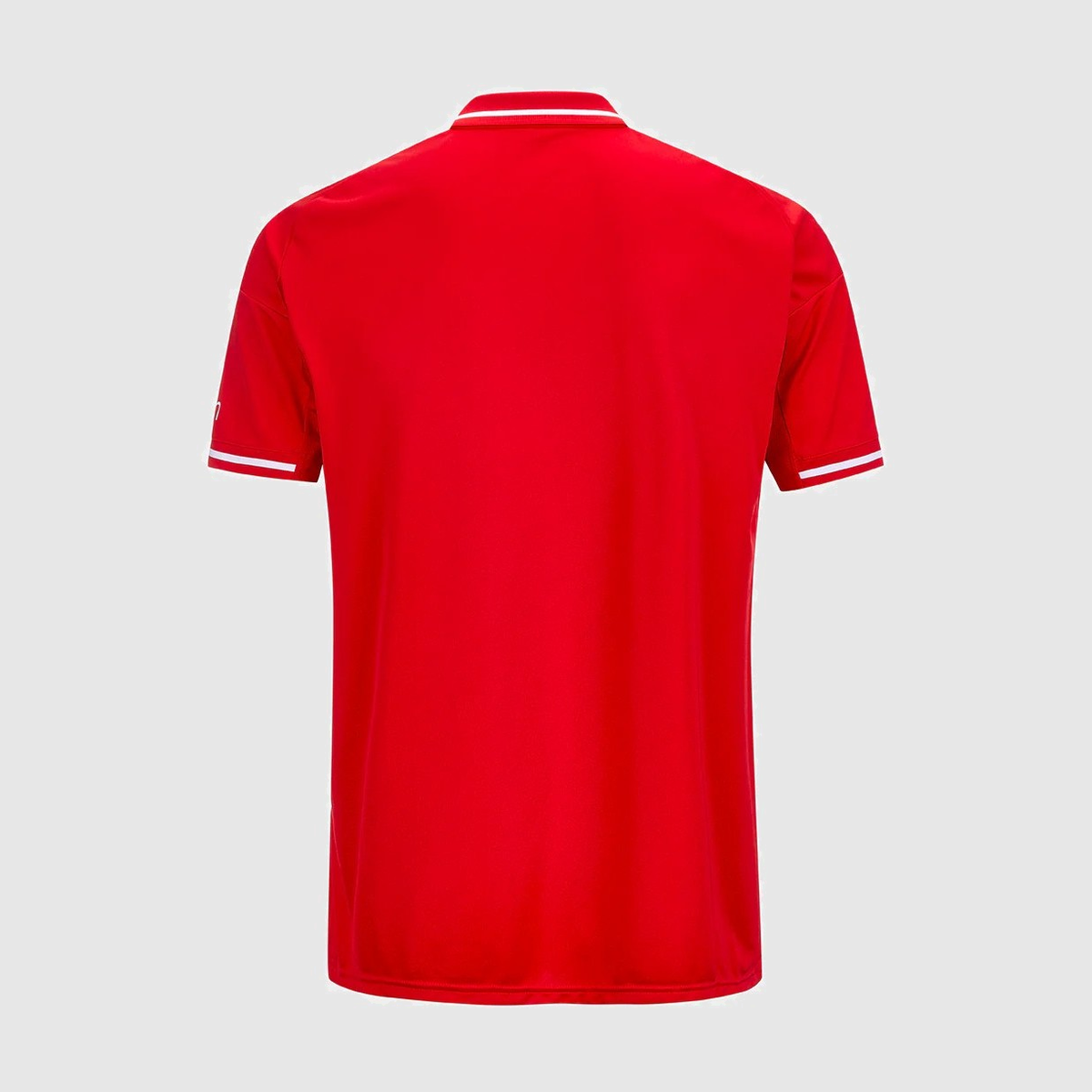 Home 25/26 Men's Shirt - Back