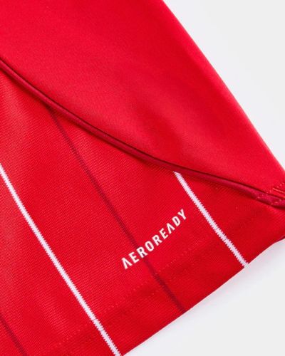 Home 25/26 Men's Shirt - Detail