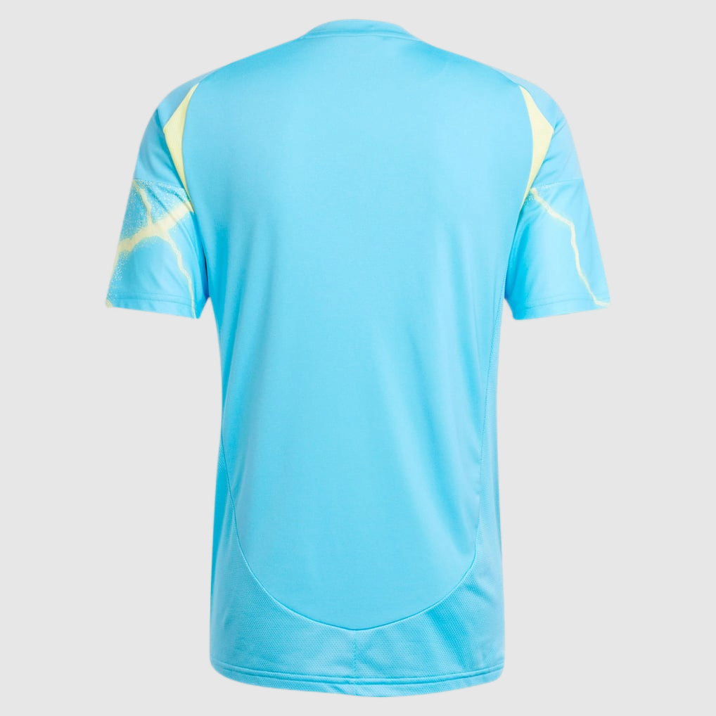 Away 26/27 Men's Shirt - Back