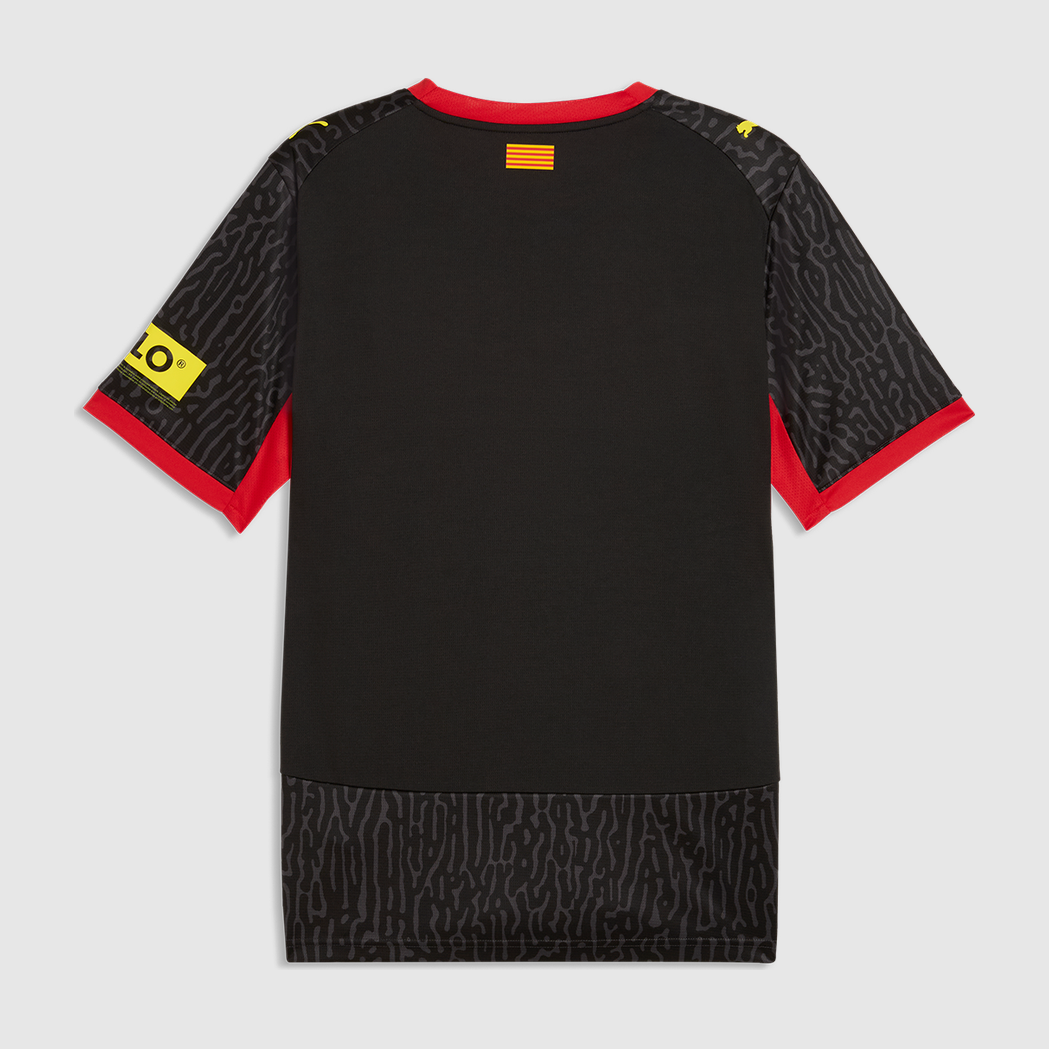 Away 26/27 Men's Shirt - Back