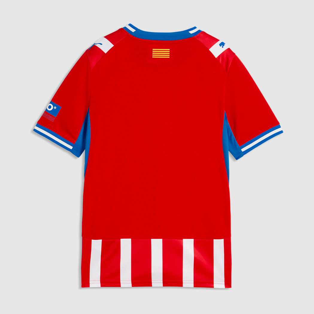 Home 26/27 Men's Shirt - Back