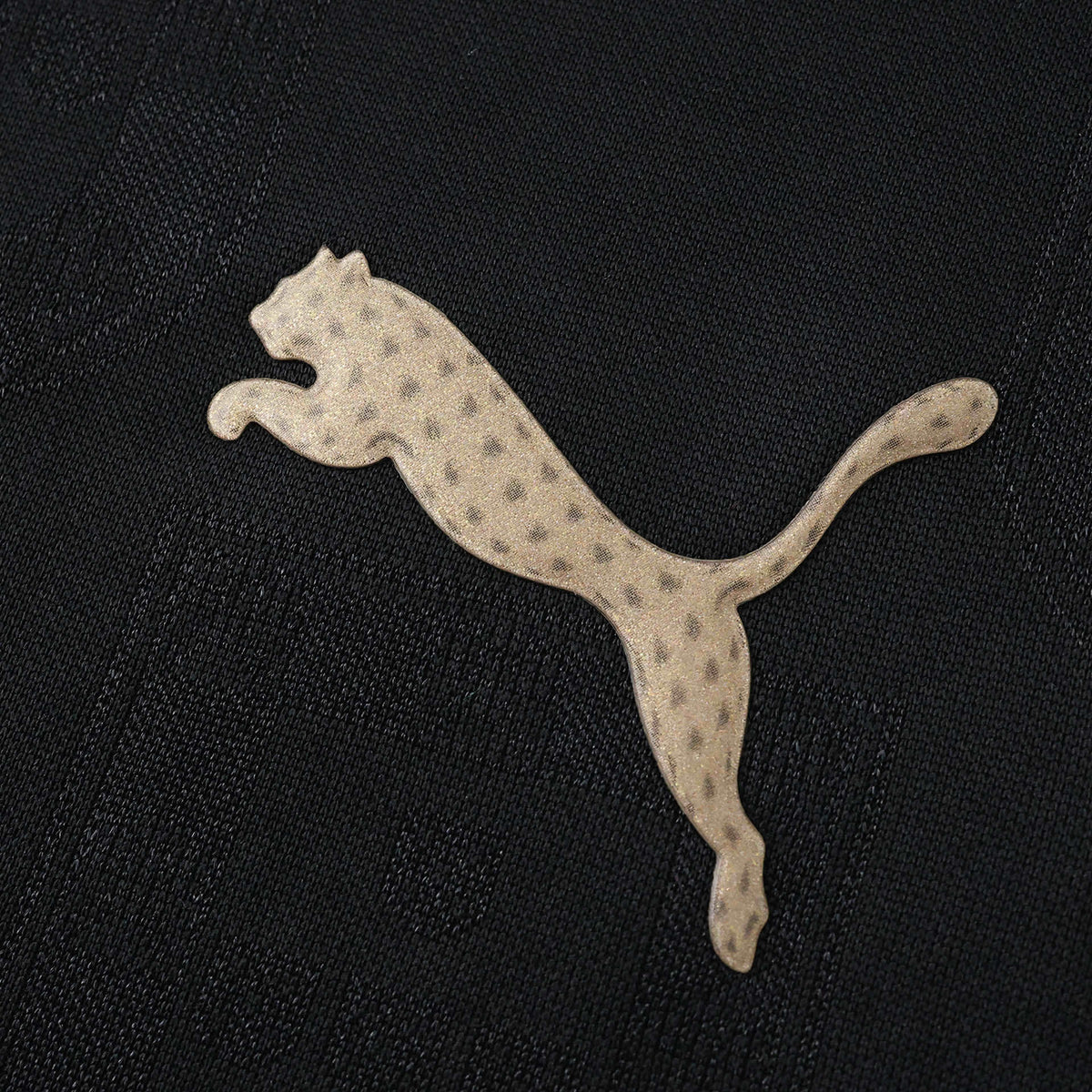 SE 25/26 Player Edition Shirt - Detail