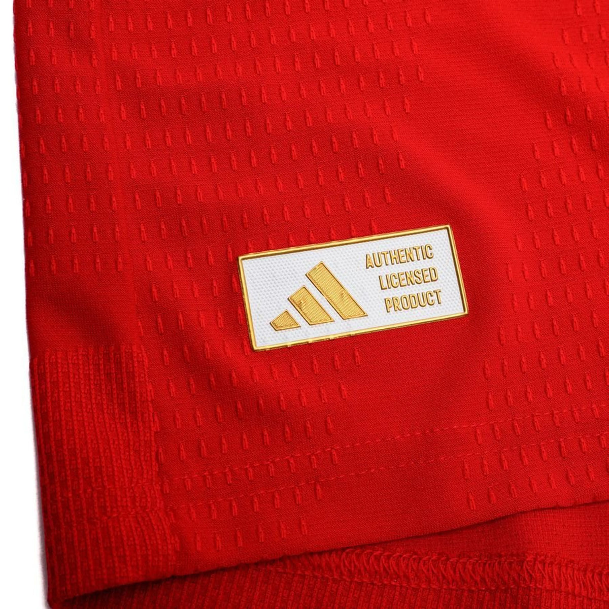 Home 26/27 Player Edition Long Sleeve Shirt - Detail