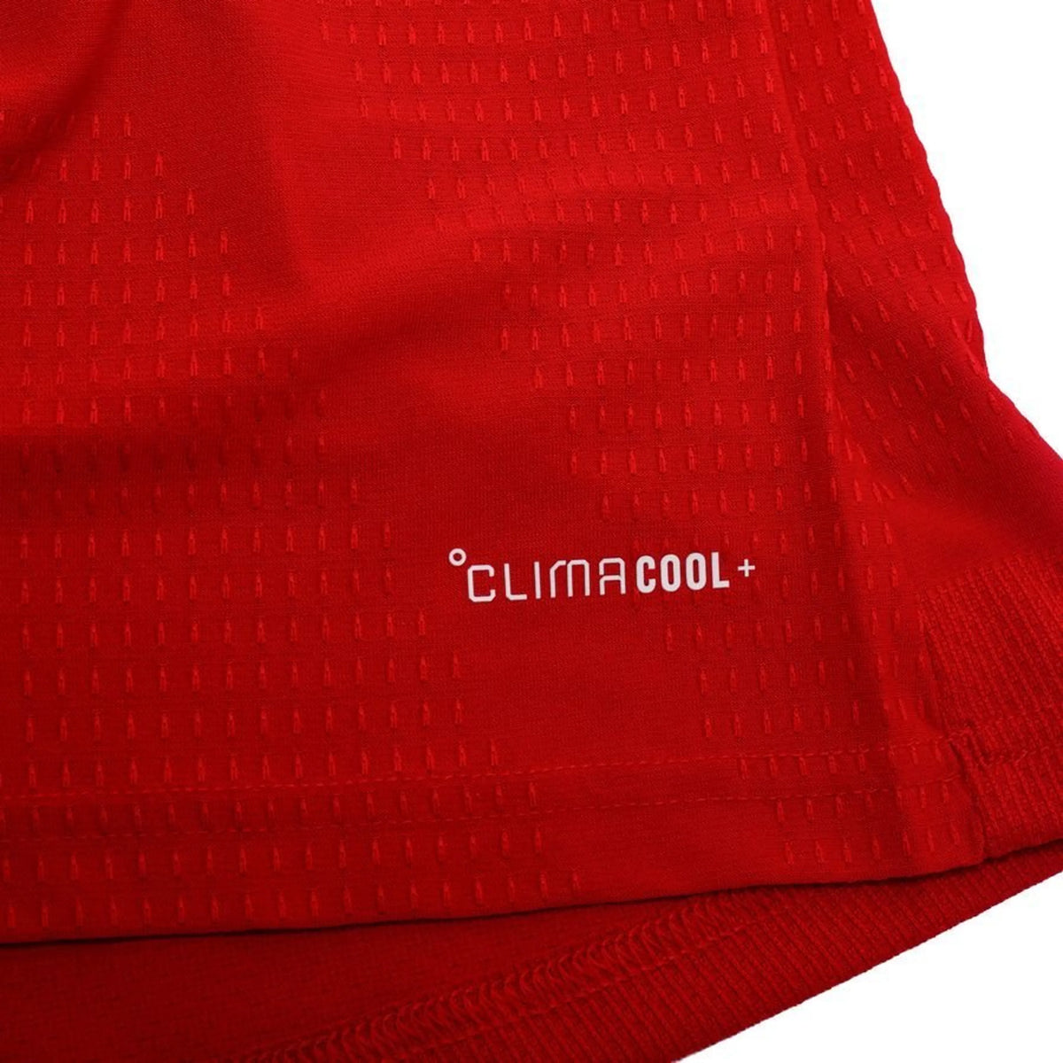 Home 26/27 Player Edition Long Sleeve Shirt - Fabric Detail