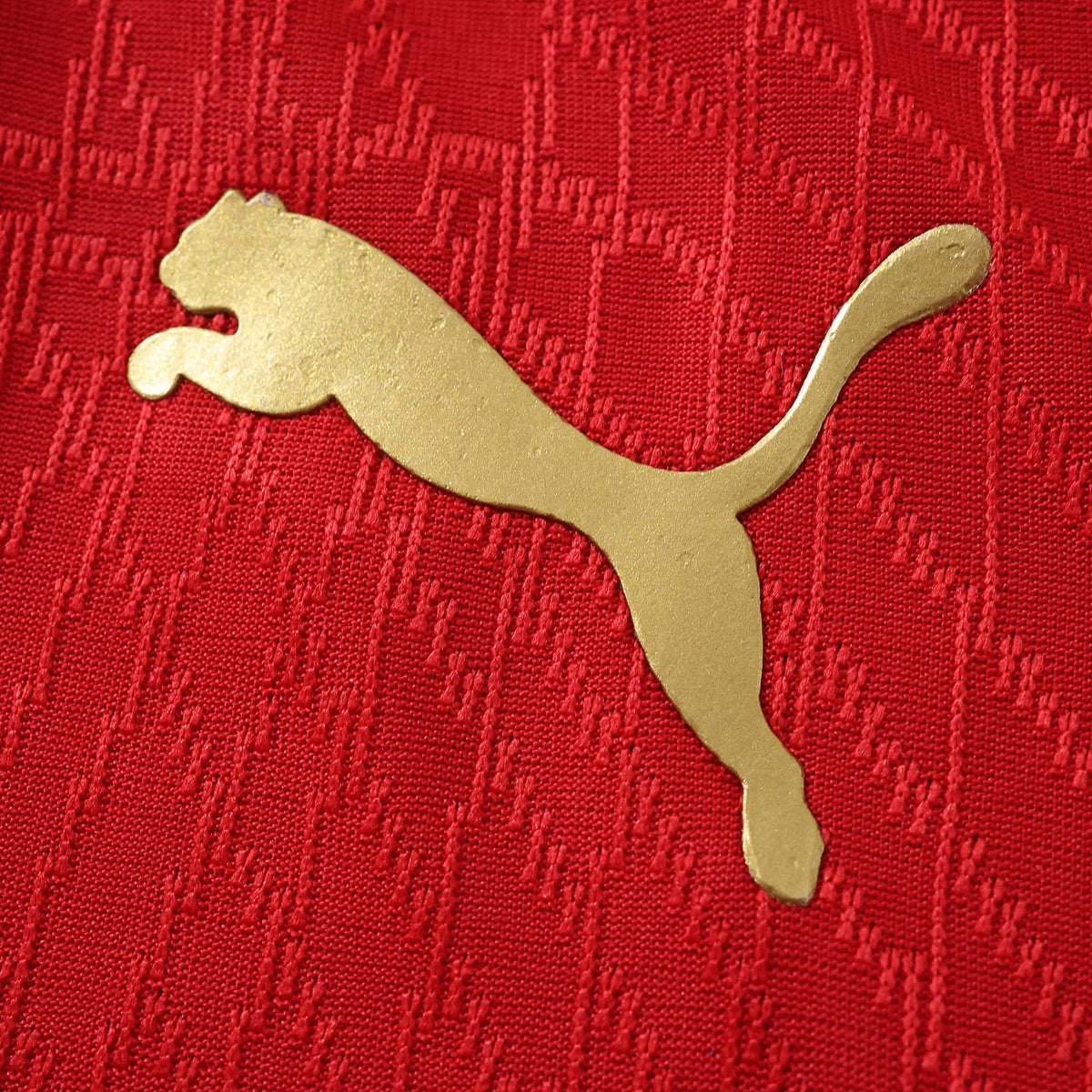 Home 26/27 Player Edition Shirt - Detail