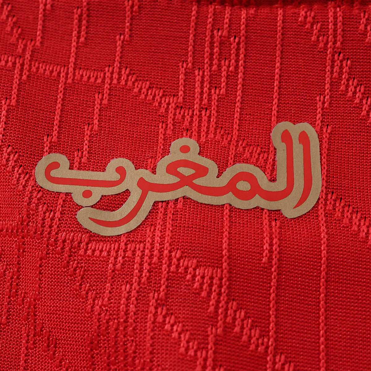 Home 26/27 Player Edition Shirt - Back Detail