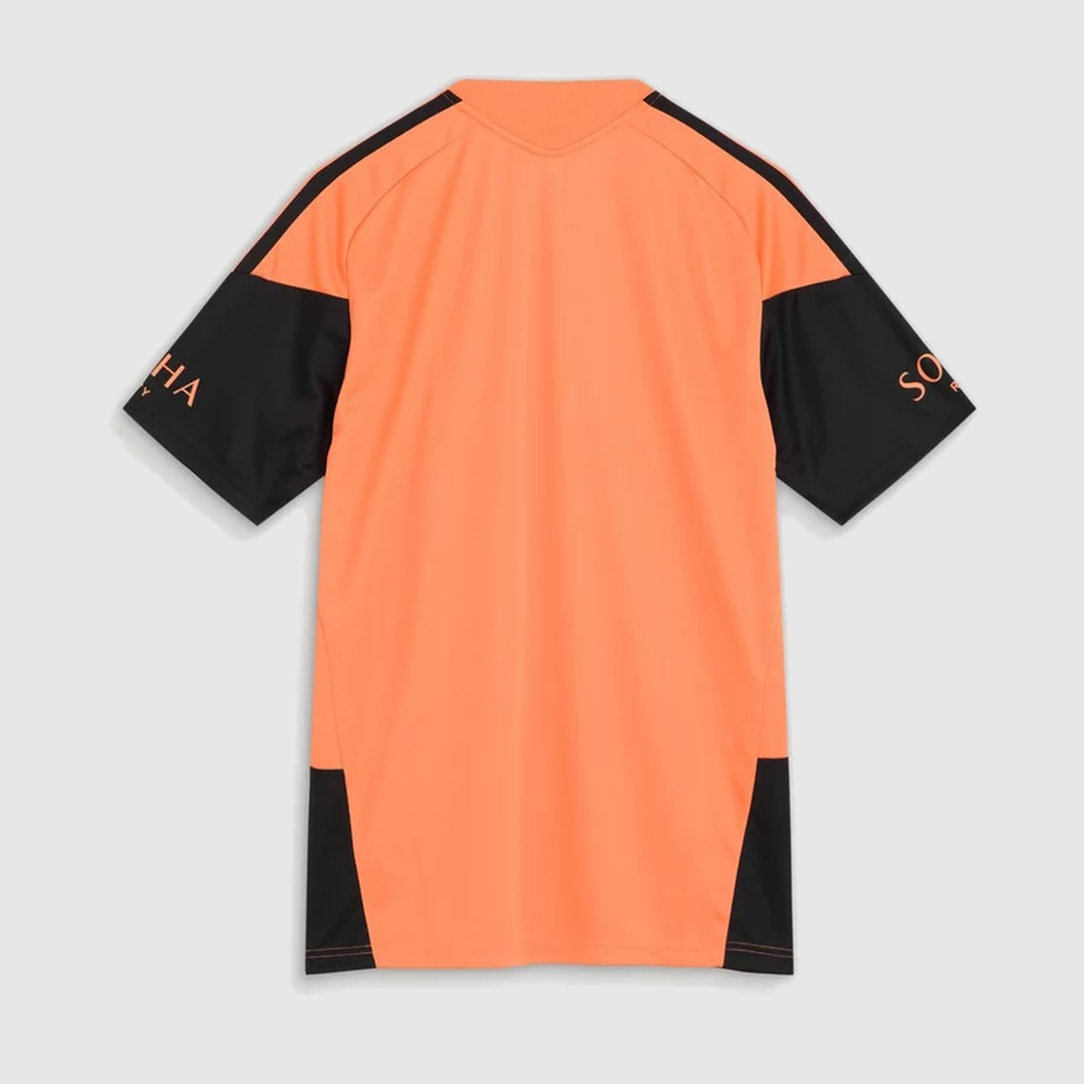 Training 2 26/27 Men's Shirt - Back