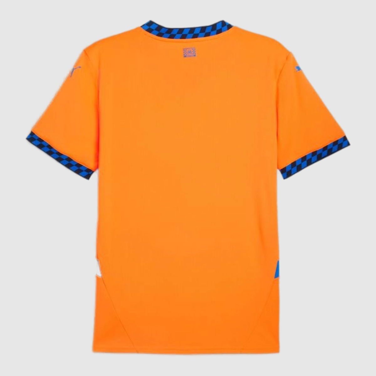 Third 24/25 Men's Shirt - Back