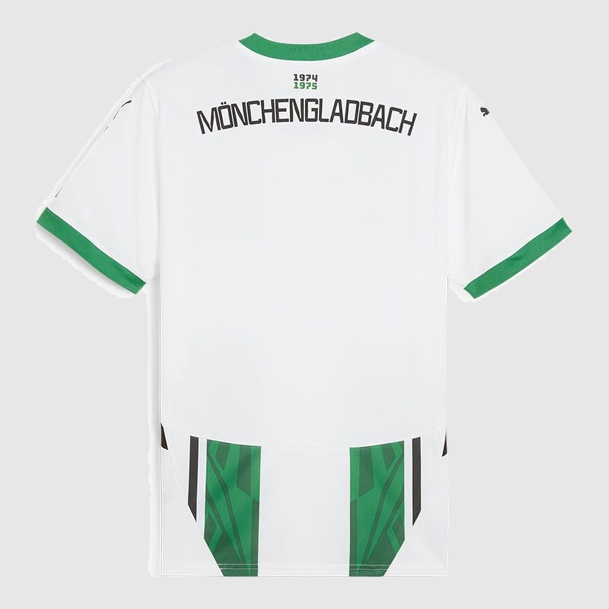 Home 24/25 Men's Shirt - Back