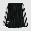 Dritte Shorts 26/27 Herren